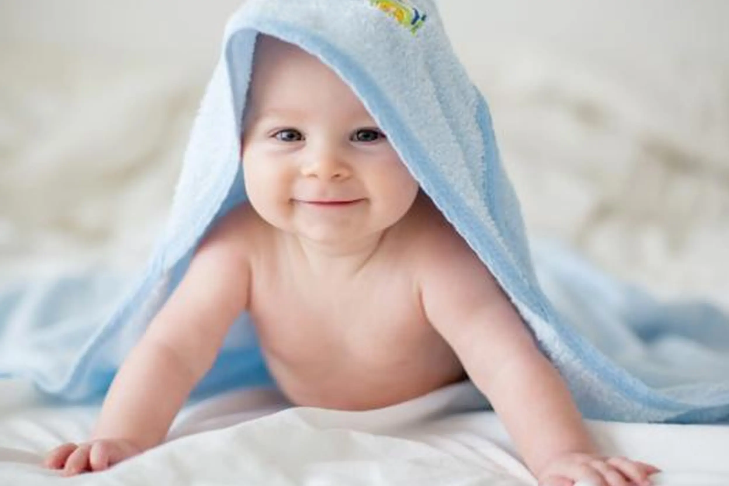 Minyak telon bayi yang bagus